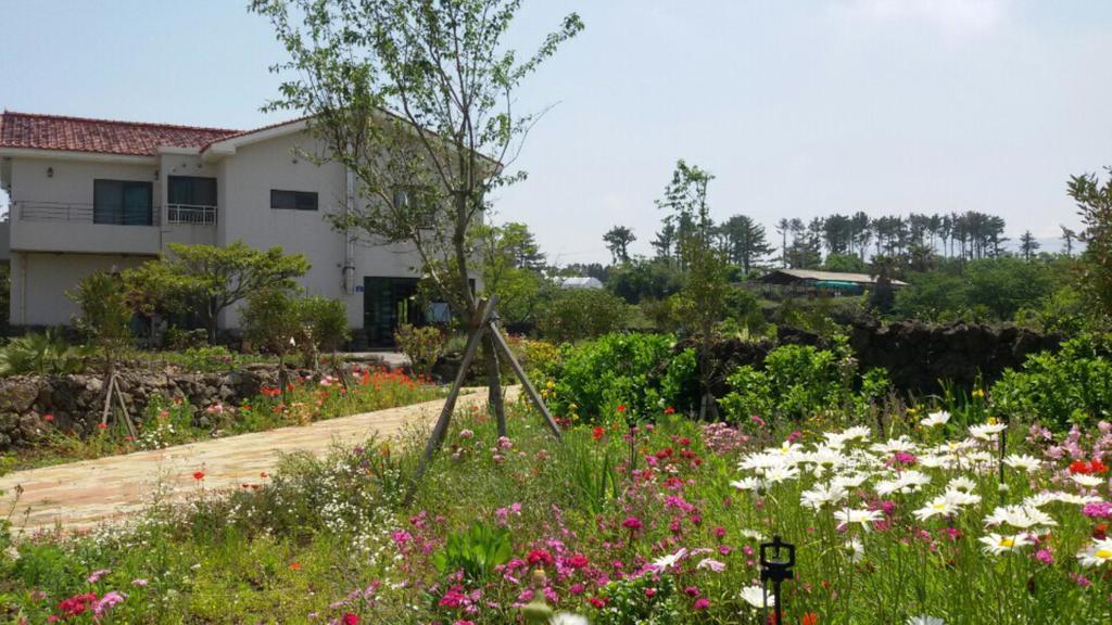 Villa Baghdad House Jeju Exterior foto