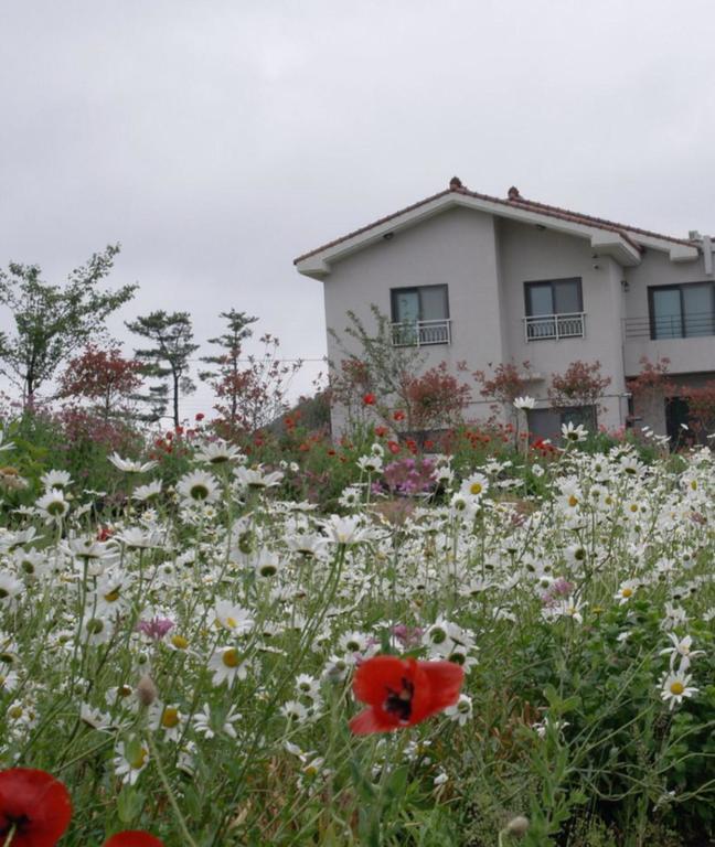 Villa Baghdad House Jeju Exterior foto